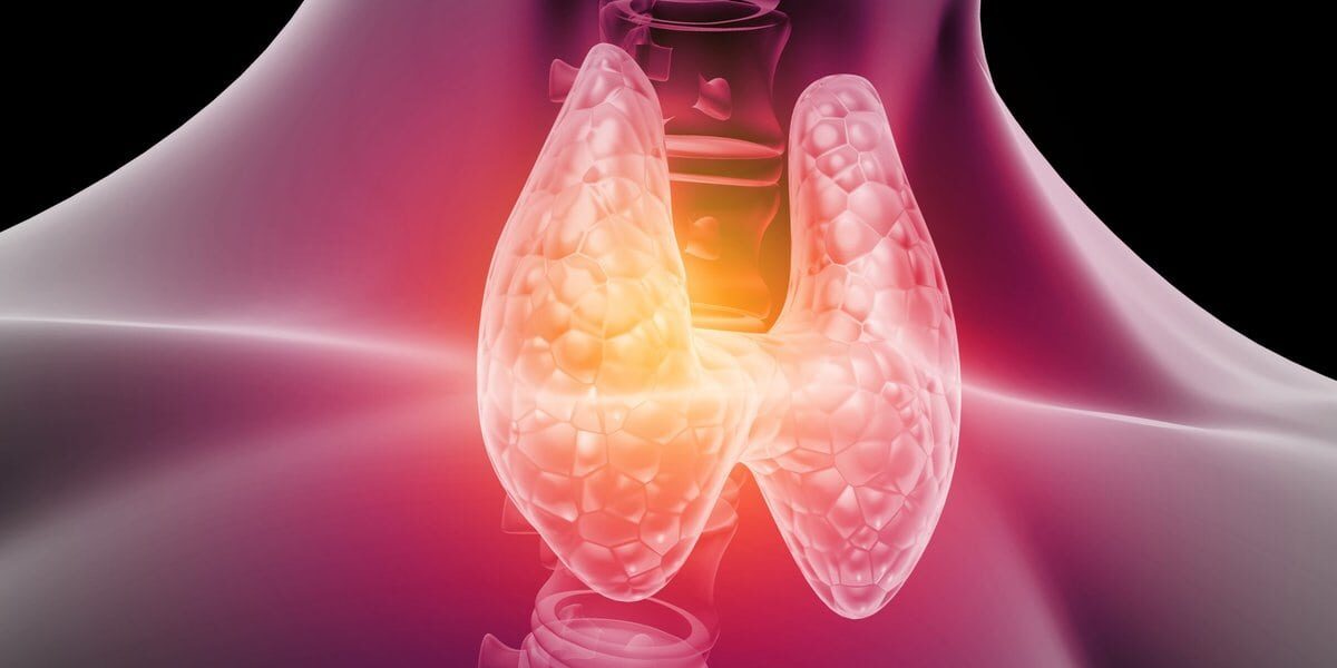 The Anatomy of the Thyroid – Labs and Symptoms