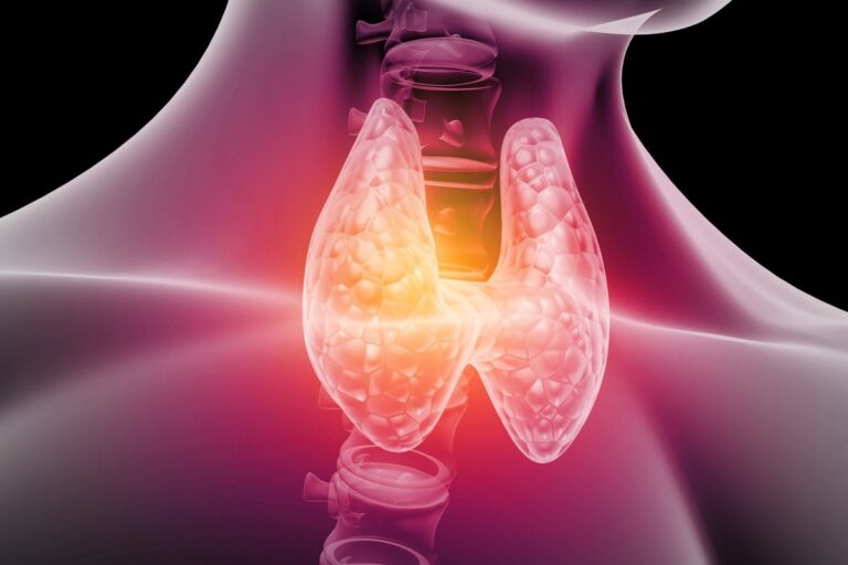 The Anatomy of the Thyroid – Labs and Symptoms